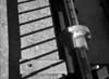 CBB_bw11
