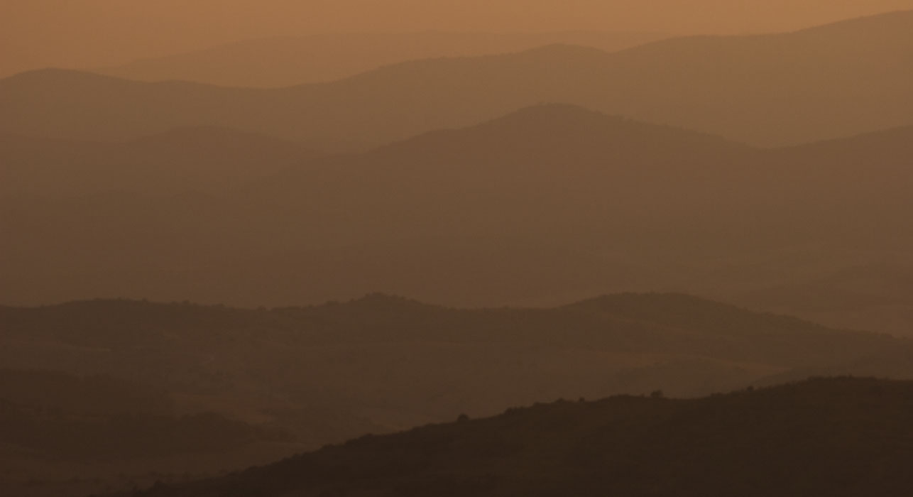 08062007361