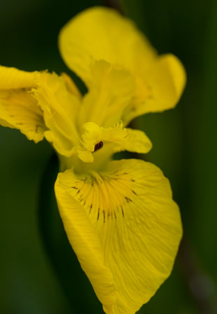 _MG_9957_edited