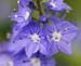 _MG_0720_edited