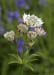 _MG_0731_edited