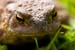 _MG_8591_edited