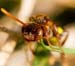 _MG_8593_edited