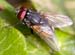 _MG_8594_edited