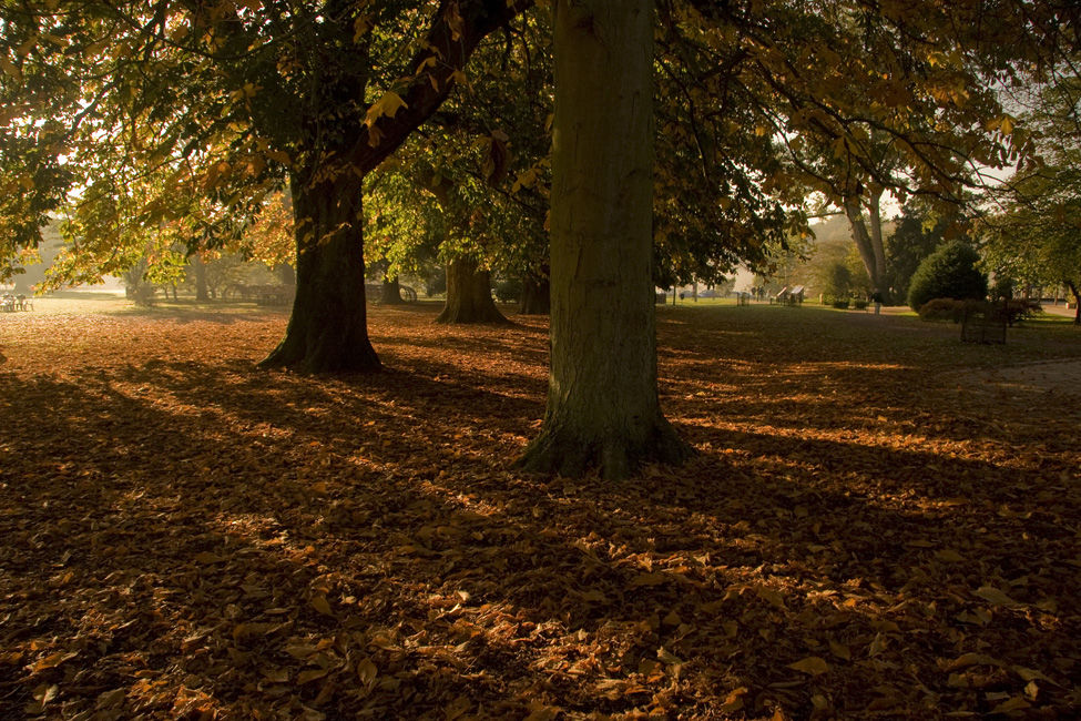 westonbirt-01