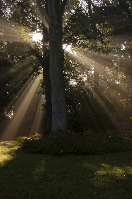 westonbirt-04