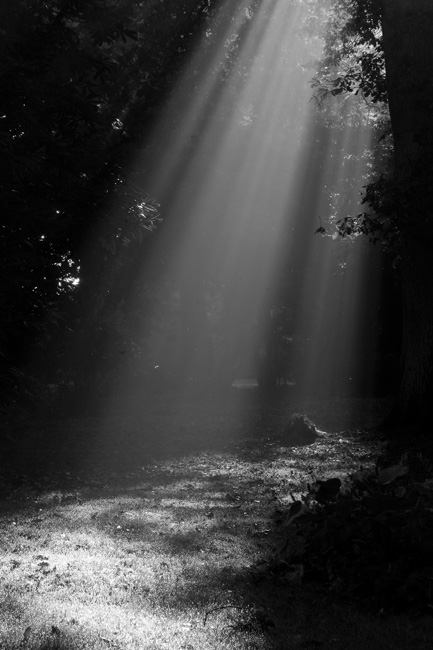 westonbirt-05