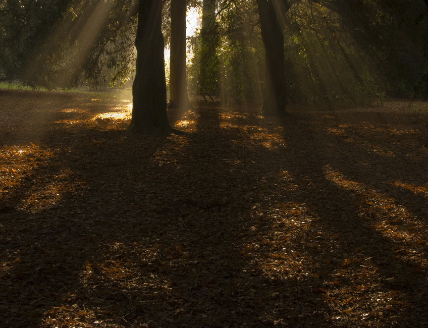 westonbirt-09