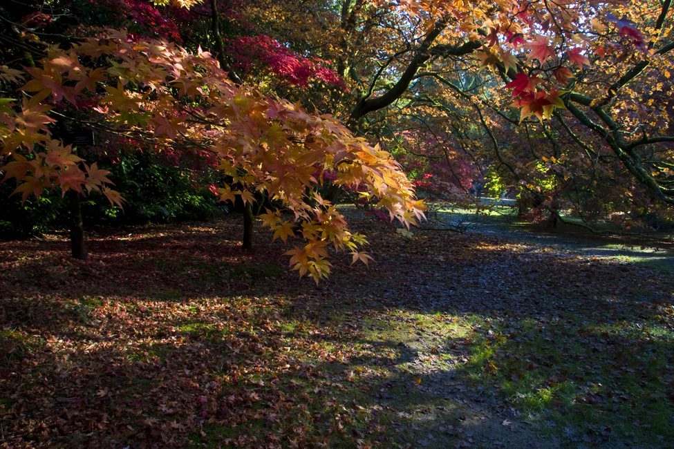 westonbirt-17