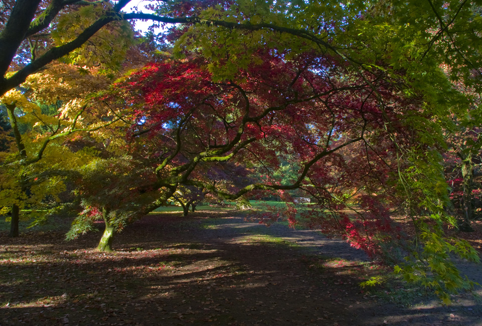 westonbirt-19