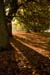 westonbirt-02